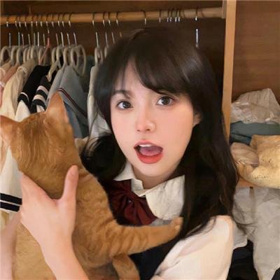 玫瑰